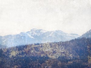 Misty Mountain Forest by Gemma Bardot