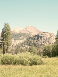 Mountain Meadow Serenity