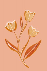 Soft Peach Flowers