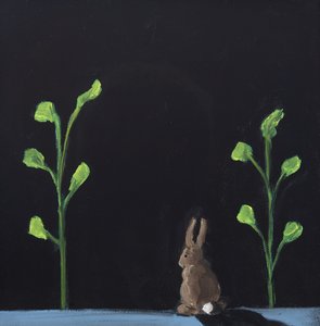 Night Rabbit