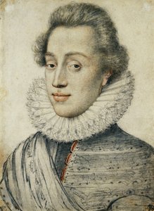 Portrait of a Young Man of Quality, Half Length, in a High Ruff