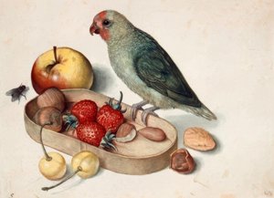 Still Life with Lovebird