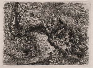 The Old Willow at a Brook, 1794