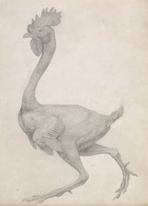 Study of a Fowl, Lateral View, from A Comparative Anatomical Exposition ...