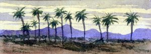 Desert Palms
