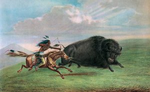 Print after Buffalo Hunt by George (after) Catlin