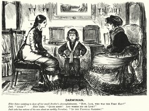 Punch Cartoon