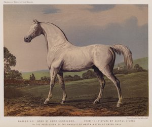 Nambrino, Bred by Lord Grosvenor, In the Possession of the Marquis of Westminster, at Eaton Hall by George (after) Stubbs