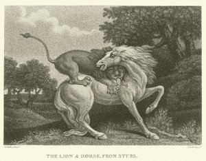 The Lion and Horse, from Stubs by George (after) Stubbs