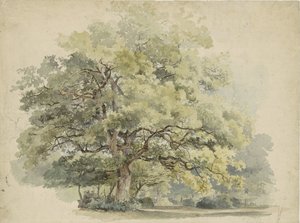 Tree Study by George Andries Roth