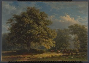 View in the Bentheim Forest