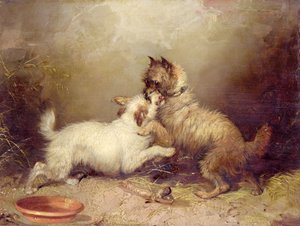 The Bone of Contention