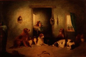 The Kitchen Dogs by George Armfield