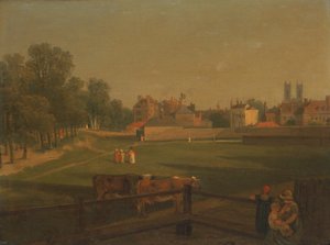 A Western View of Part of Westminster and Bird Cage Walk Taken from the Mill House by George Arnald