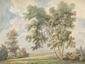 Landscape with Trees and Sheep (Park Landscape with Sheep)