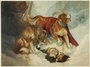 The Dogs of St. Bernard
