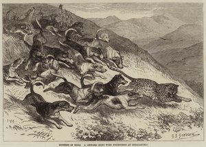 Hunting in India, a Leopard Hunt with Foxhounds at Ootacamund