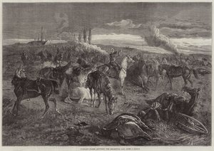 Riderless Horses Answering the Regimental Call after a Battle