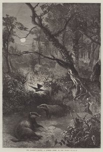 The Badger