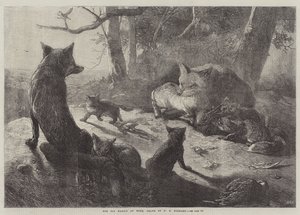 The Fox Family at Home by George Bouverie Goddard