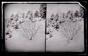 Prospect Park, Brooklyn by George Bradford Brainerd