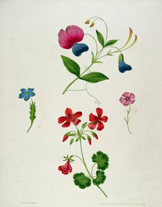 An illustration from 