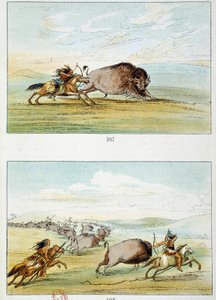American Indians: Bison Hunt. Illustration by George Catlin by George Catlin
