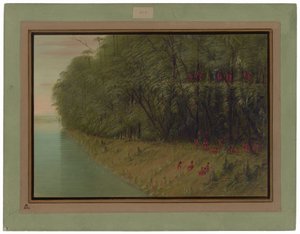 An Amazon Forest - Looking Ashore by George Catlin
