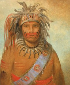 Au-nim-muck-kwa-um, Tempest Bird by George Catlin