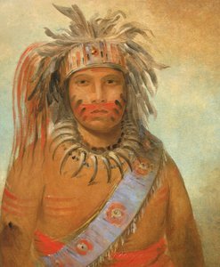 Au-nim-muck-kwa-um, Tempest Bird, 1845 by George Catlin