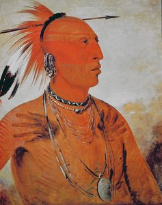Brave Chief