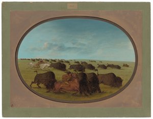 Buffalo Chase, with Accidents
