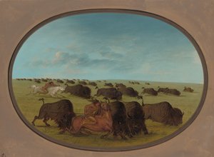 Buffalo Chase, with Accidents
