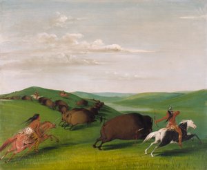 Buffalo Chase with Bows and Lances by George Catlin