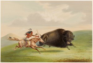 Buffalo Hunt, Chase by George Catlin