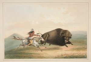 Buffalo Hunt, Chase, Plate 5 from the North American Indian Portfolio by George Catlin