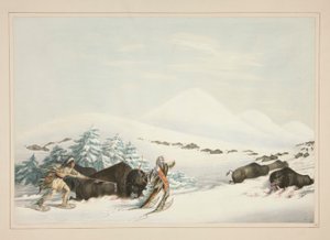 Buffalo Hunt, On Snow Shoes, plate 15 from the North American Indian Portfolio by George Catlin