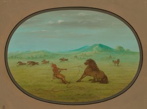 Catching Wild Horses - Pawnee by George Catlin