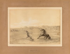 Catching the Wild Horse by George Catlin