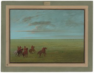 Connibos Starting for Wild Horses