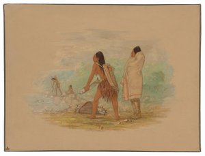 Flathead Indians