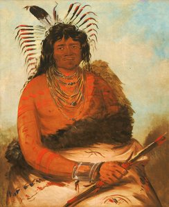 Háh-nee, The Beaver, a Warrior by George Catlin