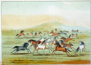 Indians of America: wild horses hunted by Indians. Illustration by George Catlin
