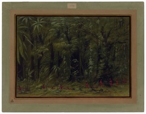 Interior of an Amazon Forest - Zurumati by George Catlin