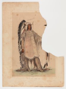 Mah-to-toh-pa, the Mandan Chief