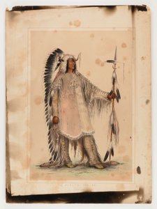 Mah-to-toh-pa, the Mandan Chief by George Catlin