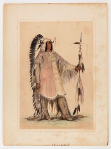 Mah-to-toh-pa, the Mandan Chief by George Catlin