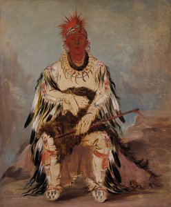 No-way-ke-sug-gah, He Who Strikes Two at Once, a Brave by George Catlin