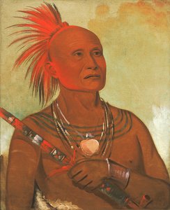 Pam-a-hó, The Swimmer, One of Black Hawk