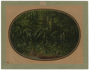Shore of the Trombetas by George Catlin